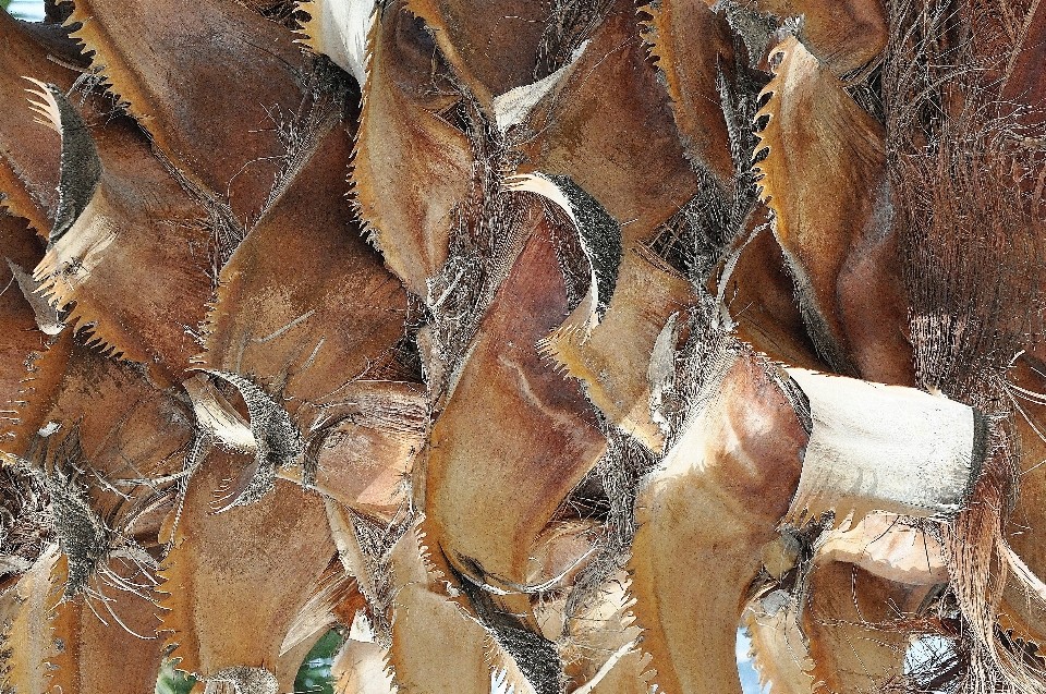 Baum natur anlage holz