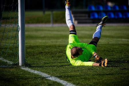 Grass sport green soccer Photo