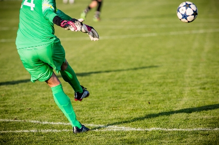 Grass sport green soccer Photo