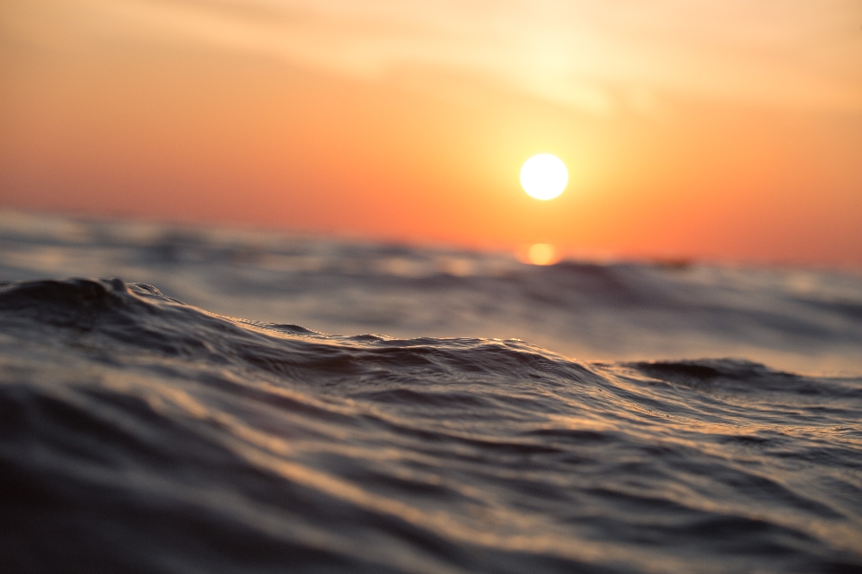 海滩 海 海岸 水