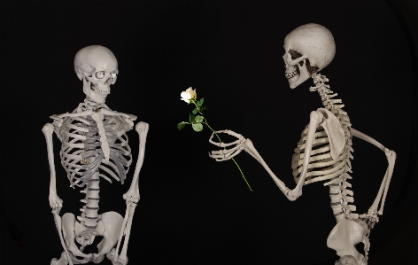 Flower love friendship human body Photo