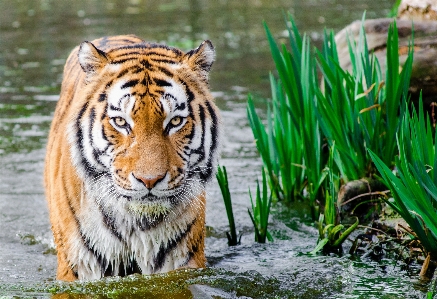 Foto Acqua natura sfocatura bagnato