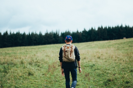 Nature forest grass outdoor Photo