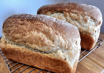 Food produce corn baking Photo