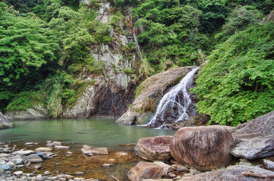 Landscape water nature forest