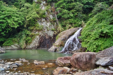 Landscape water nature forest Photo