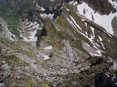 荒野
 ウォーキング 山 トレイル 写真