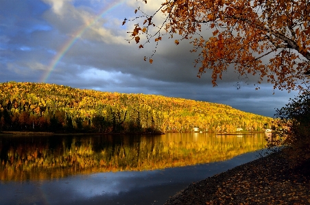 Landscape tree nature mountain Photo