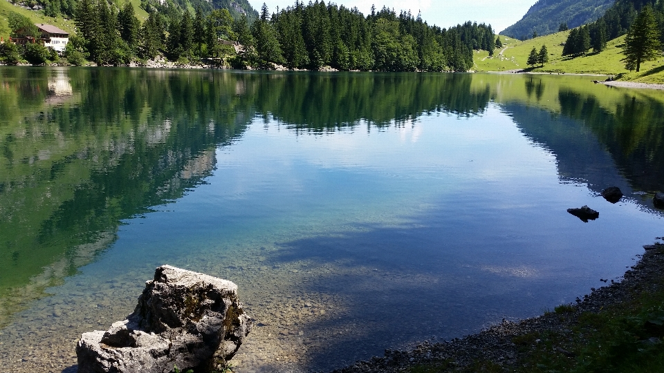 Landschaft baum wasser natur