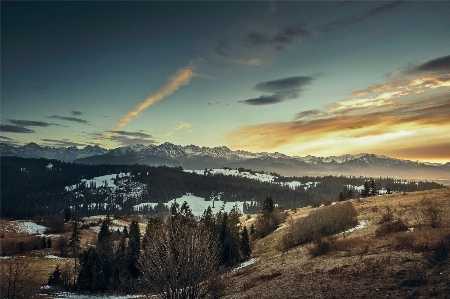 Landscape nature forest horizon Photo