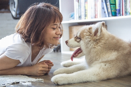 Foto Orang gadis wanita anak anjing