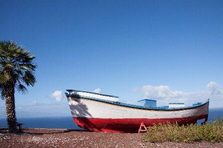 Beach sea coast ocean Photo