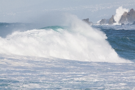 Beach sea coast water Photo