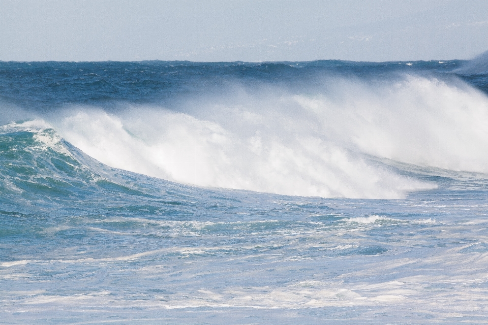 Beach sea coast water