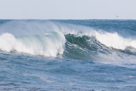 Sea coast water ocean Photo