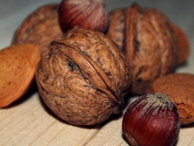 Food produce brown nut Photo