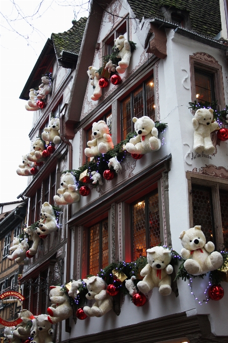 Fleur noël décoration de noël
 tombeau