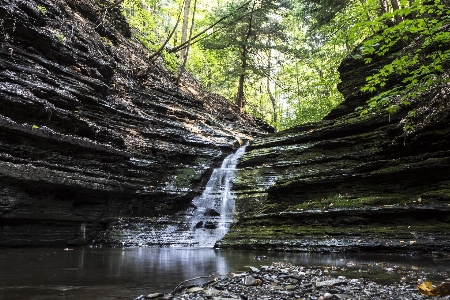 Landscape water nature forest Photo