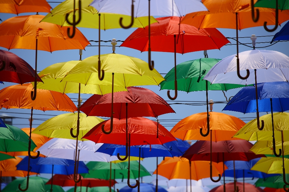 Flower wind umbrella colourful