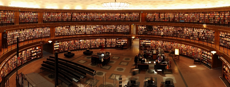 建物 図書館 学生 本 写真