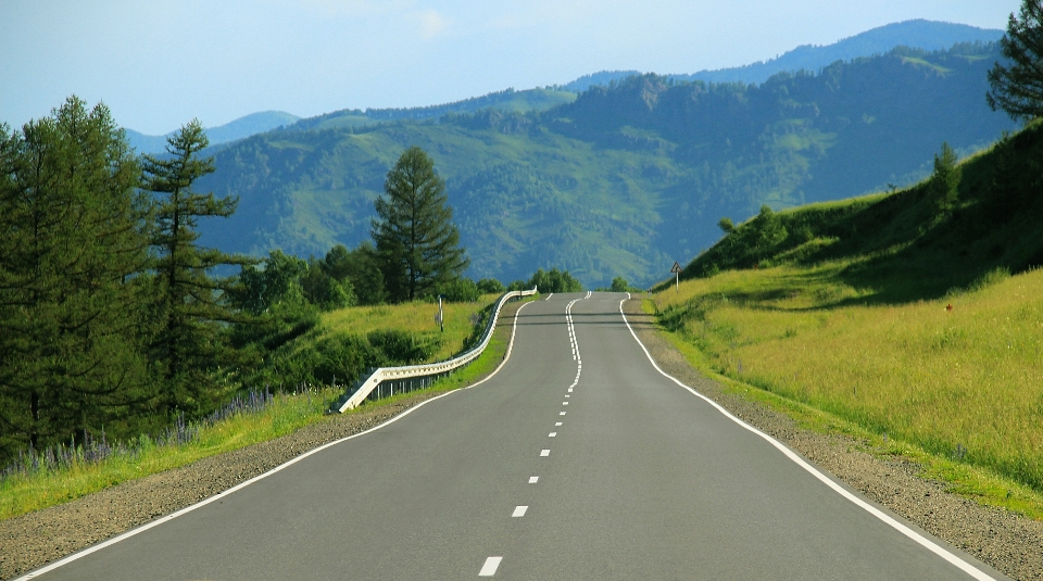 Doğa çimen dağ yol