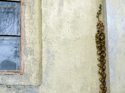 Wood texture floor window Photo