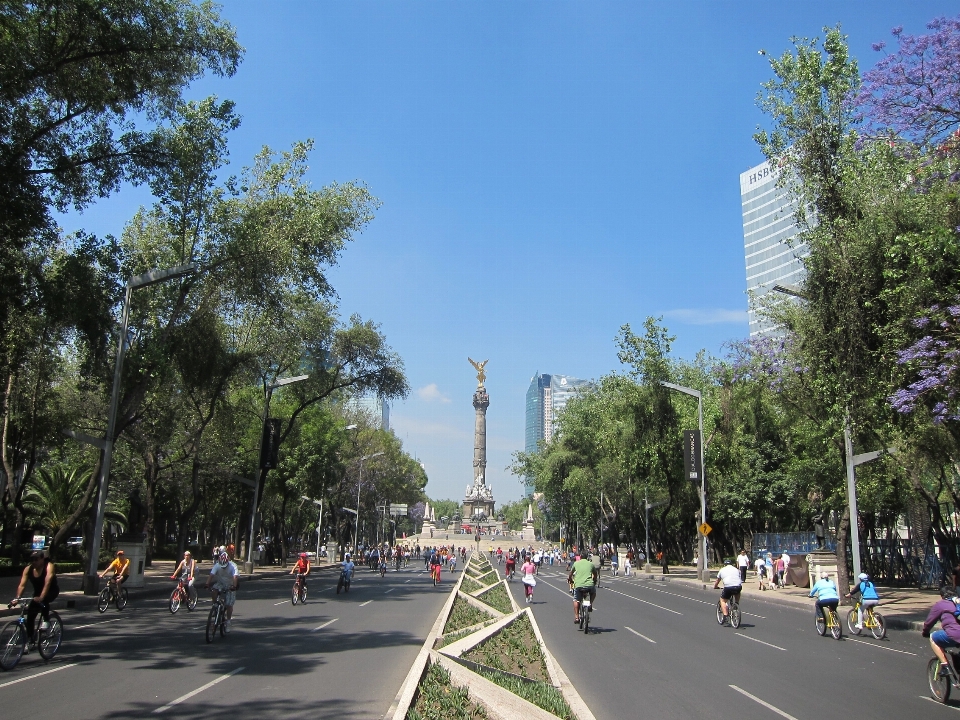 Peatonal madera camino edificio