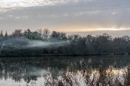 Landscape tree water nature Photo