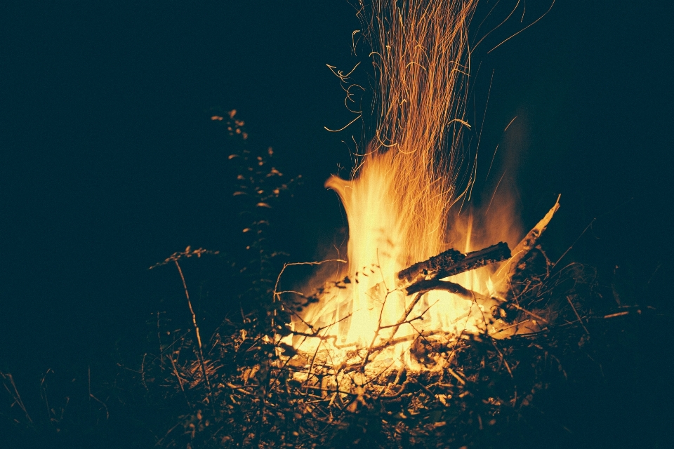 Malam sinar matahari kembang api oranye