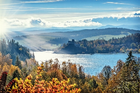 Landscape water nature forest Photo