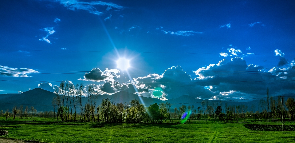 Landscape nature grass horizon