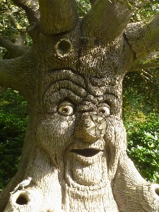 Foto árbol viejo monumento estatua