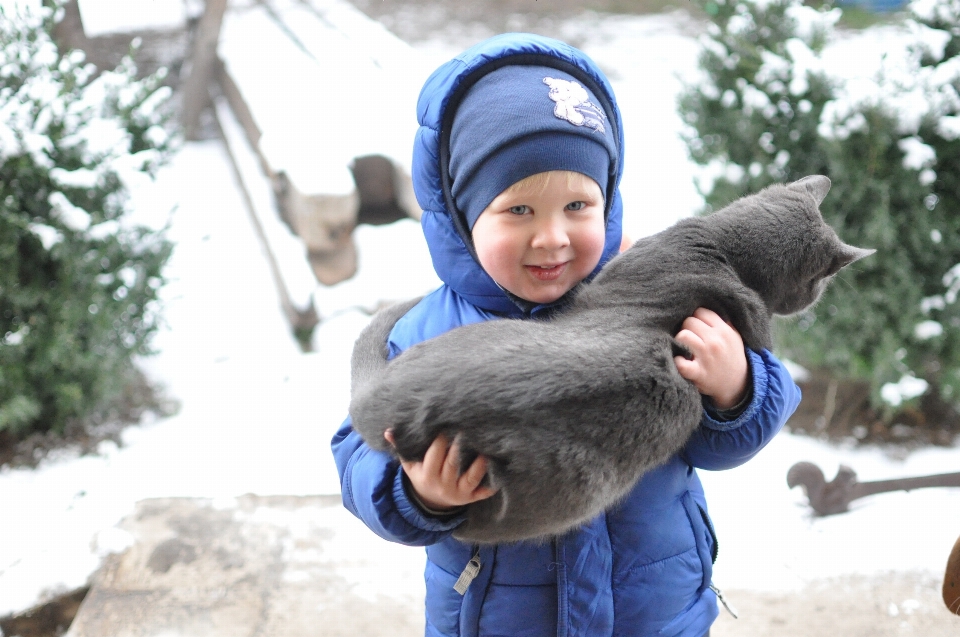 Snow winter kitten weather