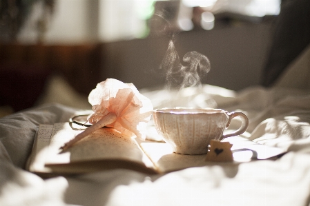 Book tea morning flower Photo