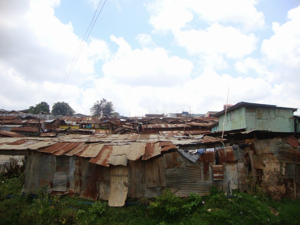 Bois toit village cabane
