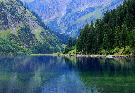 Landscape sea tree water Photo