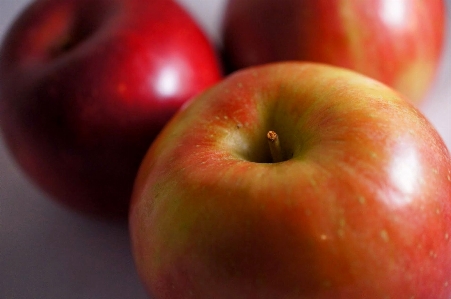 Apple nature plant fruit Photo