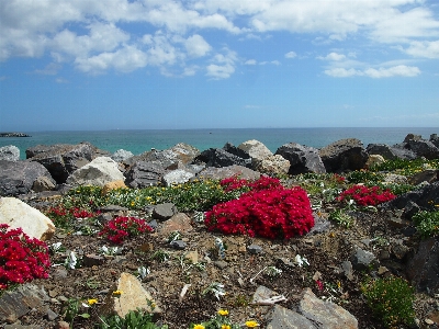 Beach sea coast rock Photo