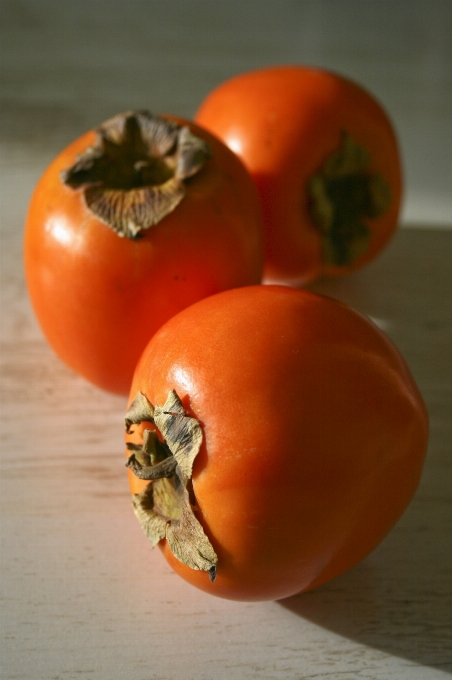 Planta fruta dulce naranja