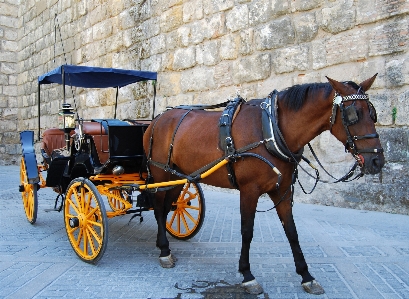 Cart vehicle horse romantic Photo