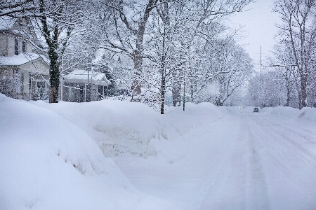 Photo Neige froid hiver temps