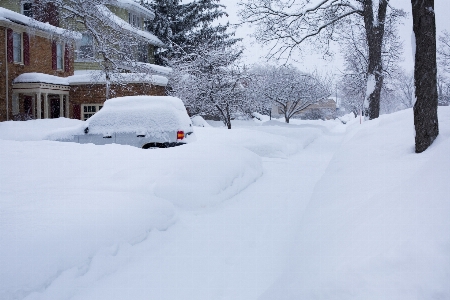 Snow winter car weather Photo