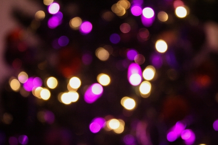 Tree light bokeh blur Photo