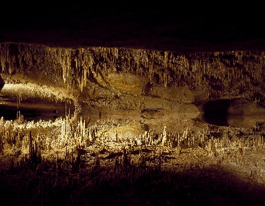 Nature rock light night Photo