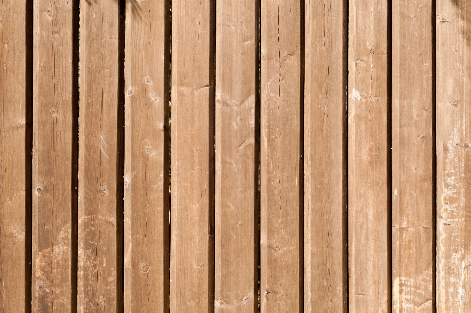 Fence board wood texture