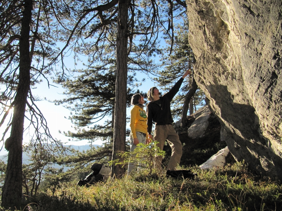 Tree rock wilderness walking