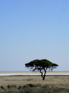 Beach landscape sea coast Photo