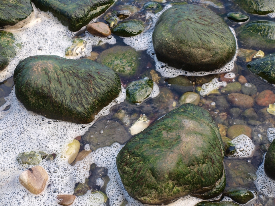 Mar rock lago stream