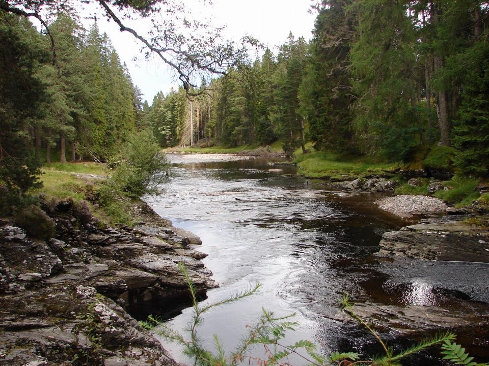 Landschaft bach
 wildnis
 fluss