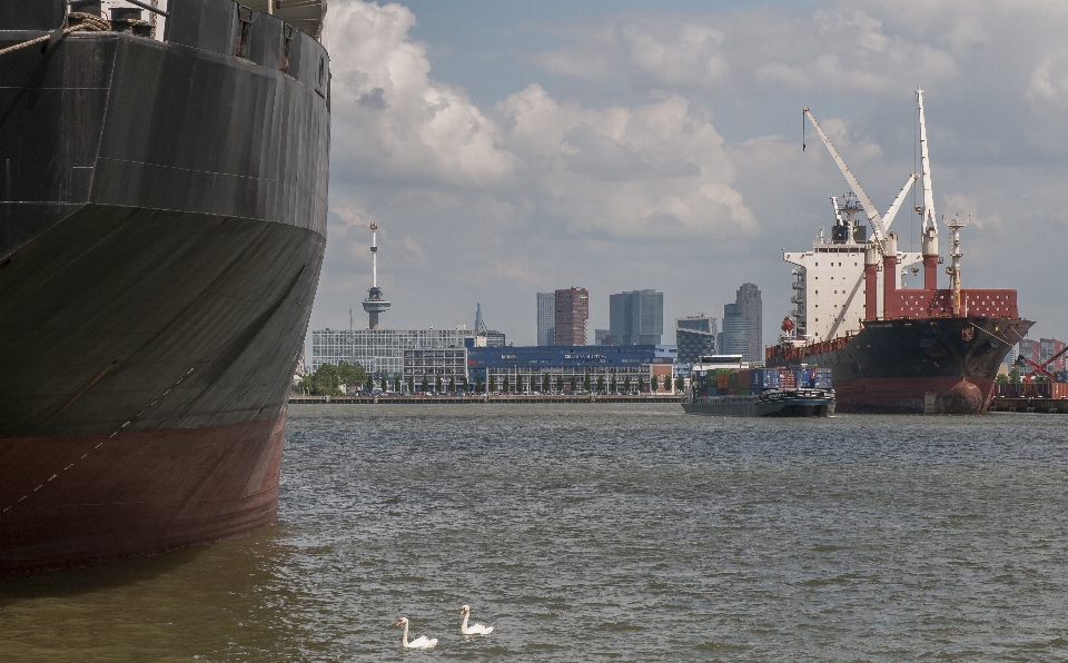 Meer wasser boot horizont